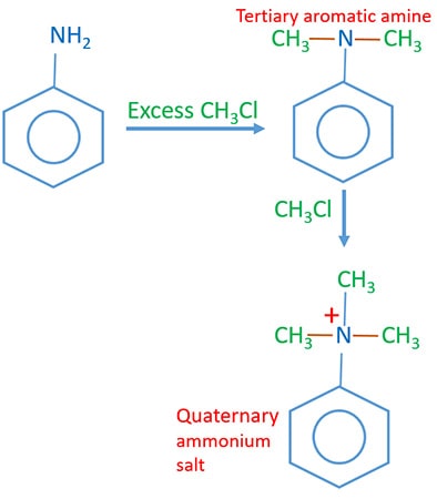 Aniline and excess alkyl halide